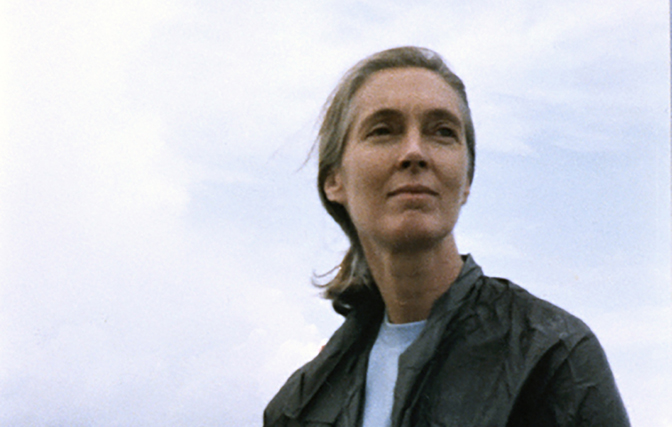 グドール博士がテンプルトン賞に輝く! 京都賞