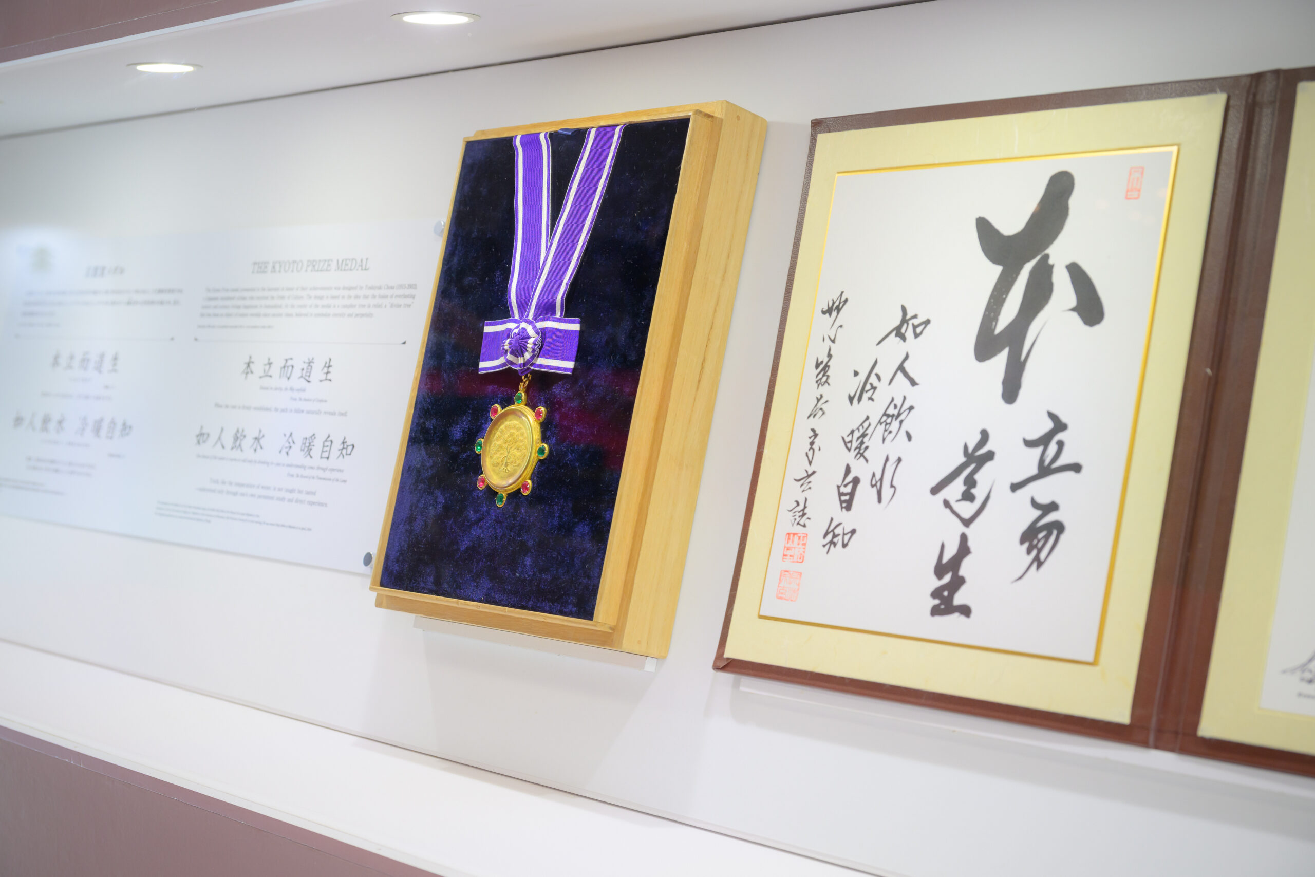 写真：メダルとディプロマ
