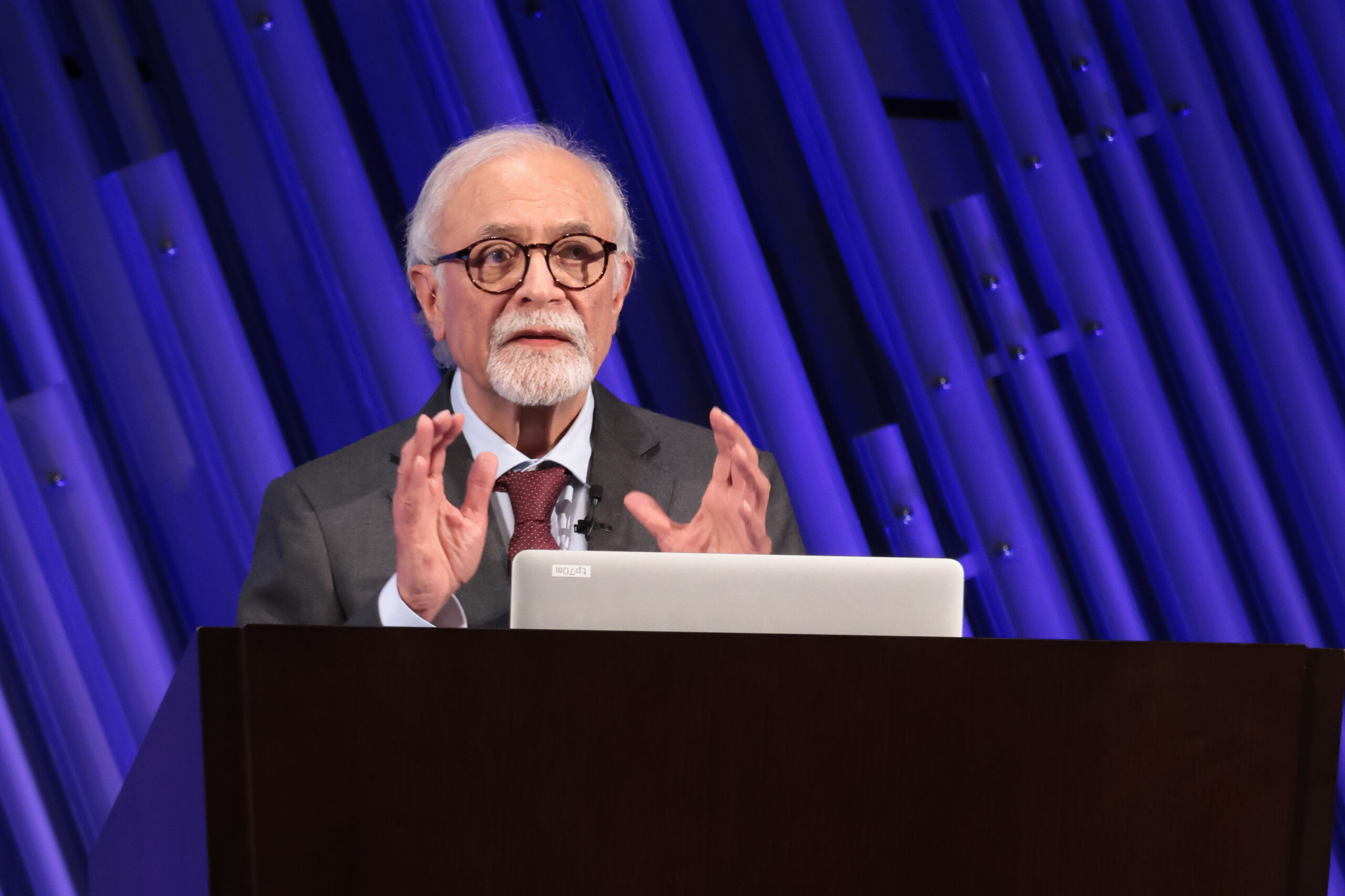 写真：講演するスラーニ博士